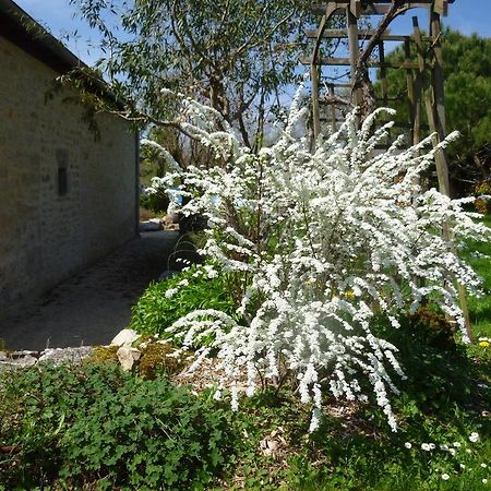Au Mas De Gamet Bed & Breakfast Theminettes Exterior photo